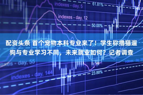 配资头条 首个宠物本科专业来了！学生称撸猫遛狗与专业学习不同，未来就业如何？记者调查