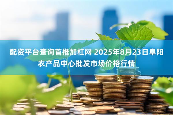 配资平台查询首推加杠网 2025年8月23日阜阳农产品中心批发市场价格行情