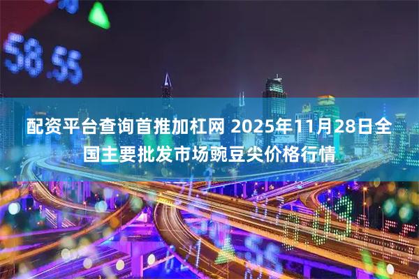 配资平台查询首推加杠网 2025年11月28日全国主要批发市场豌豆尖价格行情